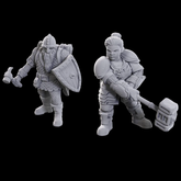 Two Dwarf miniatures from D&...