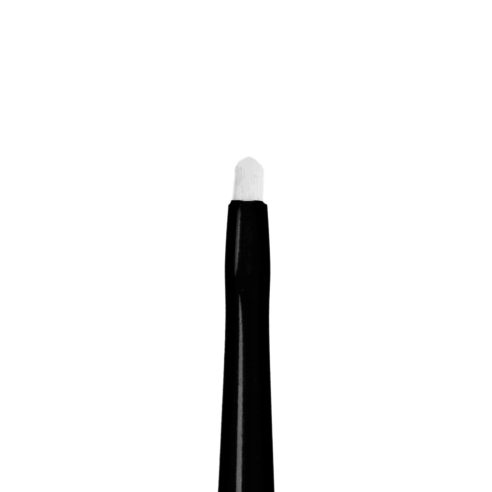 X-Small Warhammer Pro Tone Drybrush Bristle Close-Up