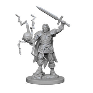 Wizkids Pathfinder Deep Cuts Miniatures: Human Male Cleric: 72600