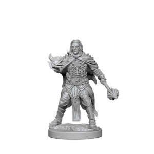 Wizkids Pathfinder Deep Cuts Miniatures: Human Male Cleric: 72600