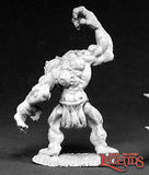 02416 Cave Troll Sculpted by Ben Siens