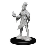 Wizkids Pathfinder Deep Cuts Miniatures: Elf Female Sorcerer : 72606