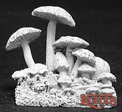 02695 FUNGUS PATCH