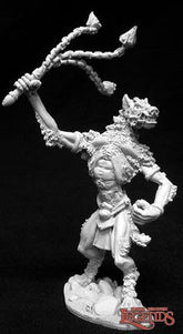 02704 Lord Of The Gnolls