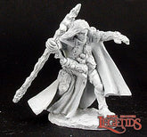 02974 Elquin, High Elf Adventurer