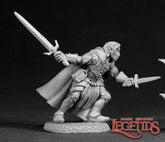 02998 Dorian Starbow, Elf Hero