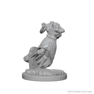 Wizkids D&D Nolzur’s Marvelous Minis: Ghost & Banshee : 72564