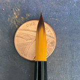 Series 313 Golden Nylon - 10 - Rosemary & Co 1p for scale