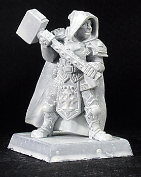 14269: Broderick Alt Pose, Crusaders Captain: www.mightylancergames.co.uk