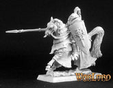 14440 Vincente, Onyx Chevalier C...