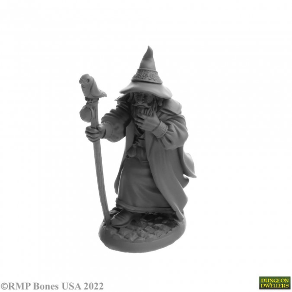 07068 Landol Griswold Human Wizard- Reaper Bones USA Dungeon Dwellers