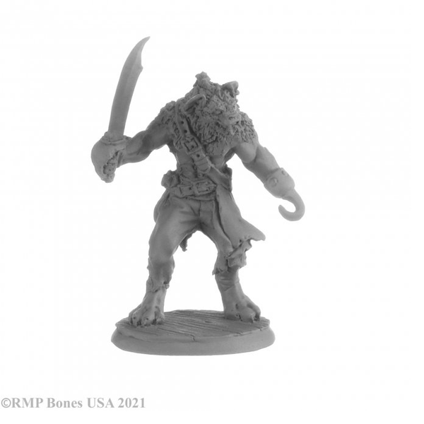 Hackle Blackhook is a gnoll pirate with a hook for one hand and a sword in the other by Reaper Miniatures 30038