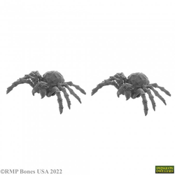 07051: Giant Spider -Dungeon Dwellers