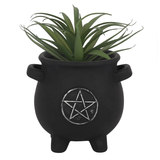 black terracotta cauldron shaped pot adorned with a silver pentagram and a green plant in it