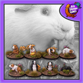Guinea Pigs -FAF004 - Bad Squidd...
