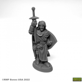 reaper miniatures 07076- Sir Dan...