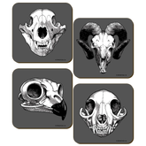 Calvaria (Skull) Collection Coas...