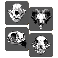 Calvaria (Skull) Collection Coaster Set featuring a different deceased desert animal on each coaster