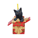 Nemesis Now Present Cat Hanging Ornament - Lisa Parker