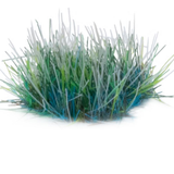 Gamers Grass Alien Turquoise. These alien tufts are Turquoise in a wild tuft style with a blue shade at the base rising to a greener shade on top