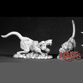 02544: BARROW RATS - DHL