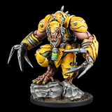Deadzone Veer-Myn Claw Pack Starter by Mantic Games contains 13 miniatures for your wargaming table. Giant, full armed rats