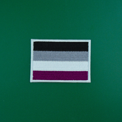 Asexual Flag Iron On Patch