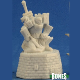 77303 - Male Paladin (Reaper Bones)