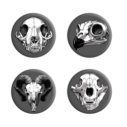 Calvaria Collection Badge Pack Of 4