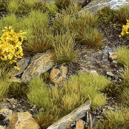 Gamers Grass Highland Tuft Set. A pack of tufts by Gamers Grass