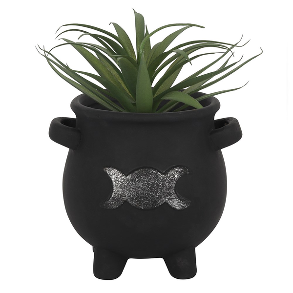 black terracotta cauldron shaped pot adorned with a silver triple moon design plant inside 