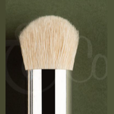 Model dry brush in extra large b...