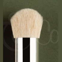 Model dry brush in extra large by Rosemary & Co