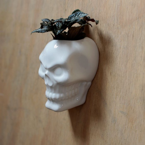 Skull Wall Planter - Face Plants