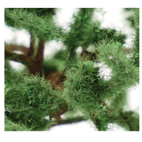 close up of the foliage on the scale model pine trees 