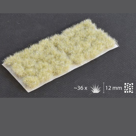 Gamers Grass tufts.Winter tufts with green and brown shades at the bottom leading up to white at the top