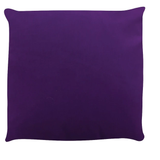 A fun purple cushion with plain back,