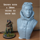 Amy Johnson resin bust from Bad Squiddo Games.