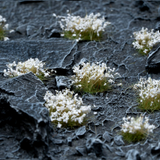 These tufts, by Gamers Grass, are covered with white petals
