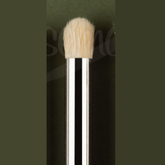 Model dry brush in medium by Ros...