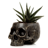Skull Plant Pot with plant