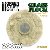 Hayfield Grass 2-3mm Flock -200ml- GSW