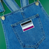 Asexual Flag Iron On Patch