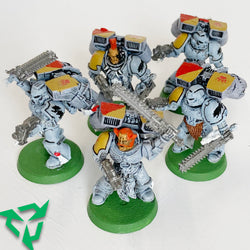 Space Wolf Assault Squad - Painted (Trade In)