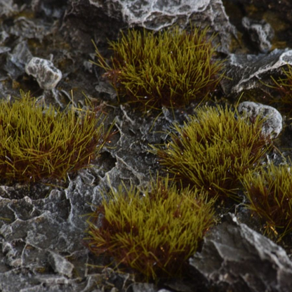 Gamers Grass tufts. Swamp tufts with brown shade at the bottom leading up to green tips