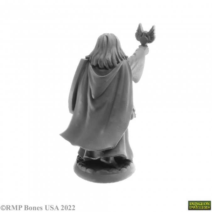 07066- Thess Ironfaith - Reaper Bones USA Dungeon Dwellers - Reapercon22 Hotel Mini
