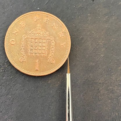 Series 98 Triangular Pure Sable - 5/0 - Rosemary & Co paint brush tip and a 1p