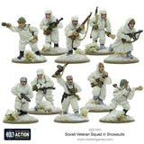 Soviet Veteran Squad in Snowsuits (10 miniatures) - Bolt Action