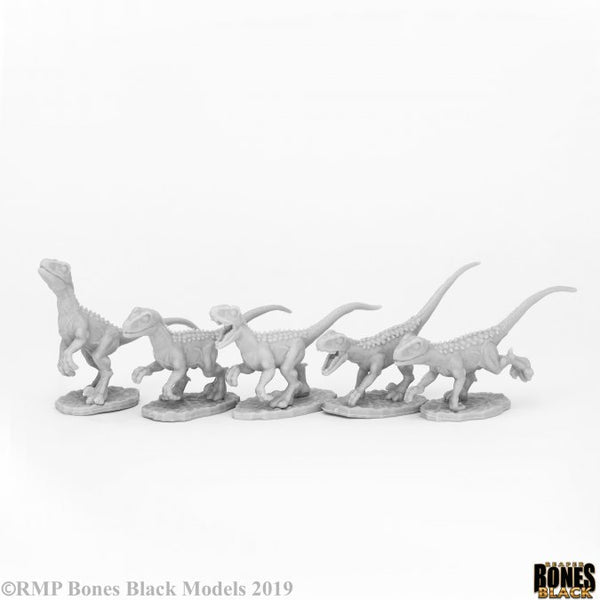 44081 - Raptor Hunting Pack x5 (Reaper Bones Black) :www.mightylancergames.co.uk