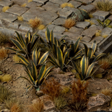 Agave by Gamers Grass represent the American plant species